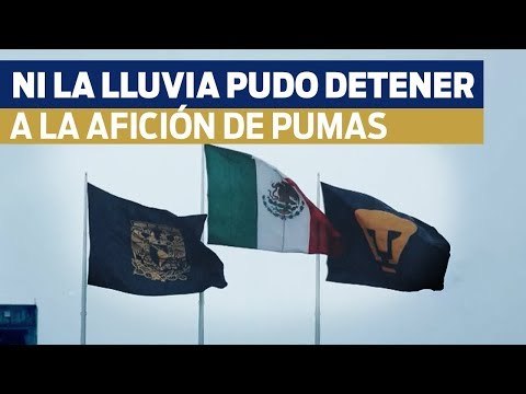 AFICIÓN DE PUMAS SACA LA GARRA