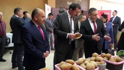 Sivas’ta patatesin üretimi ve sorunları anlatıldı
