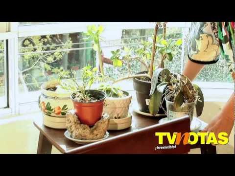 Rituales navideños para despedir el año - Kala Ruiz