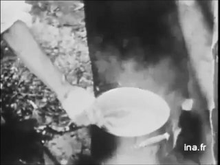 Pierre Bonnard 1867-1947