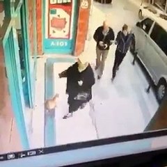 Sosyal medyada fenomen olan kedi Bayrampaşa'da çıktı