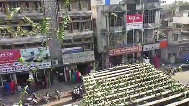 Indian man feeds thousands of parakeets everyday from outside his apartment