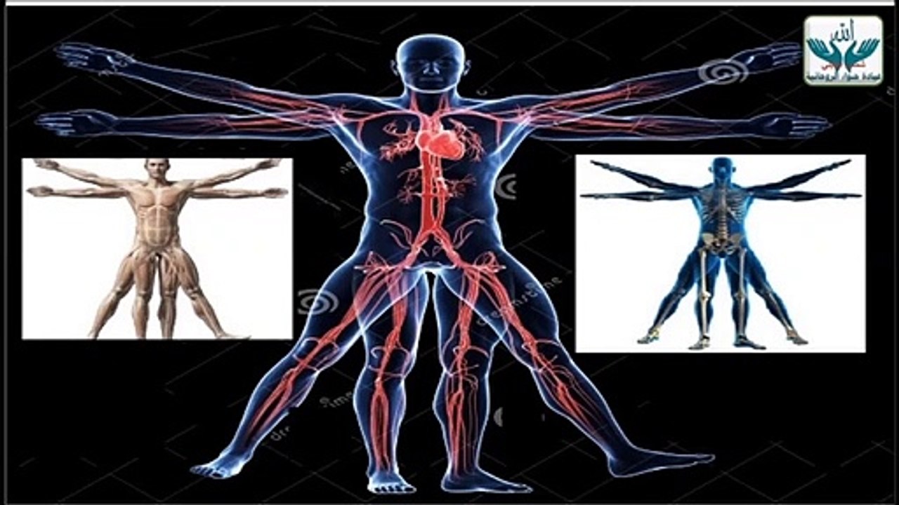 Change your – Ve energy to +Ve by a simple & mins  غيّري طاقة التعب والحزن السلبية  الى أيجابية بدقائق وباقوى طريقة بعلوم الطاقة