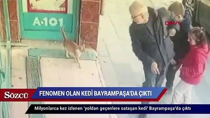 Télécharger la video: Sosyal medyada fenomen olan kedi Bayrampaşa’da çıktı