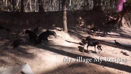 Country chicken curry