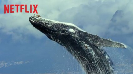 Notre planète Bande-annonce officielle (2019) Netflix