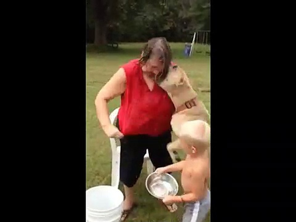 Ice Bucket Challenge Results in Pit Bull Attack