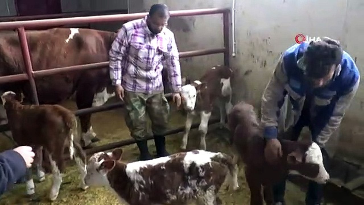 Devlet Desteği İle Çiftliğin Kapasitesini Arttırdı