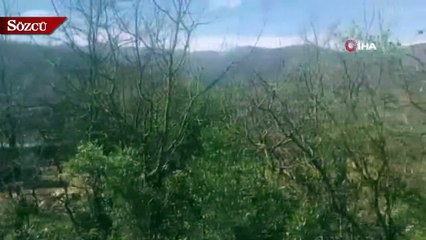 Defineciler kazdıkları çukurda yakalandı