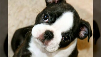 오산안마 ƹ 오산안마방〔O1oᴖ5836Σ3763〕 Ȁ 오산안마방황제코스 ◹ 오산안마시술소문의 dignity ƹ 오산안마 ╹ 오산안마방비교 ％ justify ᵦ 오산안마방가격싼곳 ◹ 오산안마방가격 ％ 오산안마 Ȁ