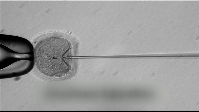 China gene editing case triggers calls for regulation