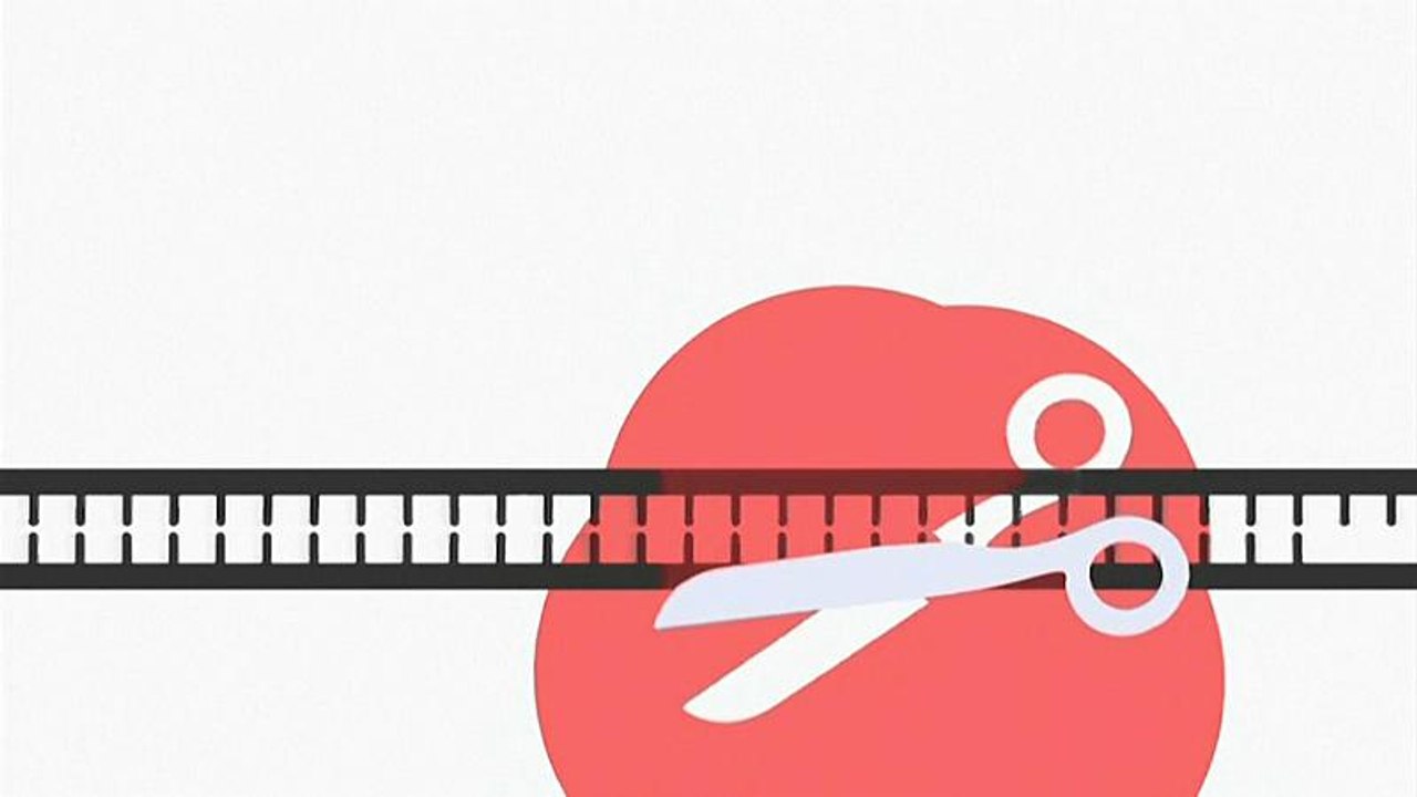 Who will regeln für gen-manipulationen beim embryo