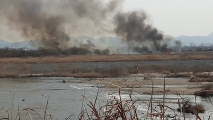 세종시에서 주한미군 사격훈련 중 들불...산림 1.5ha 소실 / YTN