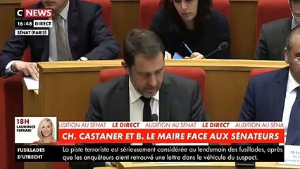 Violences sur les Champs-Elysées: Christophe Castaner devant le Sénat: "Nos renseignements étaient bons et le dispositif était conséquent. Il n'y pas eu de problème d'anticipation"