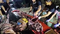 40 kg de plastique retrouvés dans l'estomac d'une baleine (Philippines)