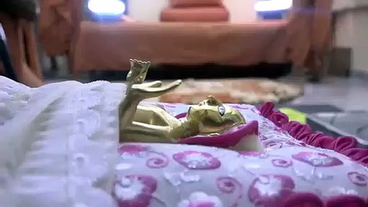 Krishna ji ka shringar