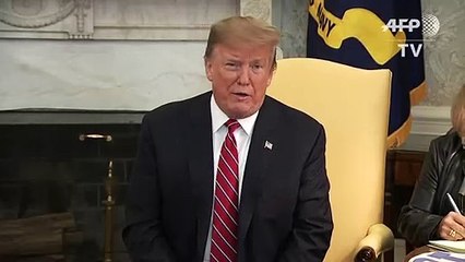 Trump a Bolsonaro: Brasil y EEUU "nunca han estado más cerca"