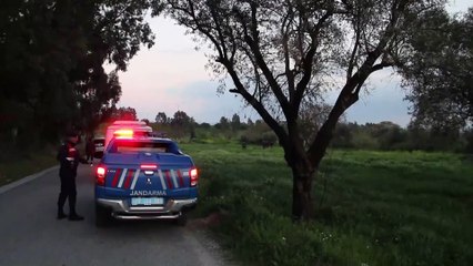 Aydın'da tarlaya çalışmaya giden yaşlı adam ölü bulundu