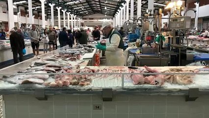 Road trip, giorno 2. Europee? Questa volta non vado a votare