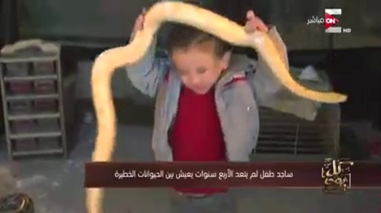 "طرزان المصري".. طفل يعيش بين الزواحف والحيوانات المفترسة ويلعب معها