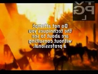 Dog Whisperer S04E12 Gizmo and Indigo, Diego, Valley & Whiskey