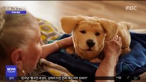 [투데이 영상] '하나 살까?' 강아지 닮은 로봇