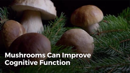Mushrooms May Protect Your Brain