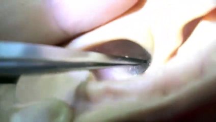 증평출장마사지 -후불1ØØ%ョØ7Ø_7575_ØØ69【카톡MGM1472】#J#증평전지역출장안마'증평출장맛사지'샵증평출장마사지'콜걸'출장안마'20대여대생！※≒℃출장콜걸'출장마사지'출장안마후기'