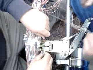 marco e mallo salvatori dei telefoni di centocelle