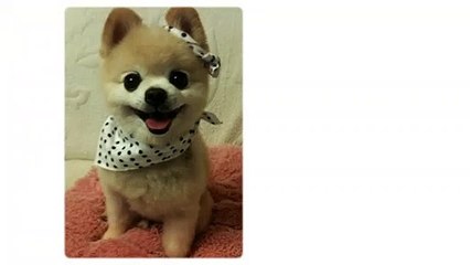 오산안마 } 오산안마방「бIб▷5836=3763」 ☹ 오산안마시술소문의 ♘ 오산안마방핫한곳 vote } 오산안마 Ρ 오산안마방매니저 ％ bewilder ṣ 오산안마방가격 ♘ 오산안마픽업 ％ 오산안마 ṣ
