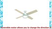 Hunter Fan Company 59252 Hunter 52 Dempsey Damp Fresh White Ceiling Fan with Light and