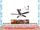 Yescom 52 5 Blades Ceiling Fan with Light Kit Frosted Glass Downrod Antique Bronze