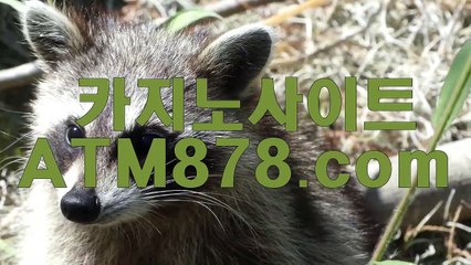 라이브카지노주소☆T T S 3 3 2，coM☆xo바카라