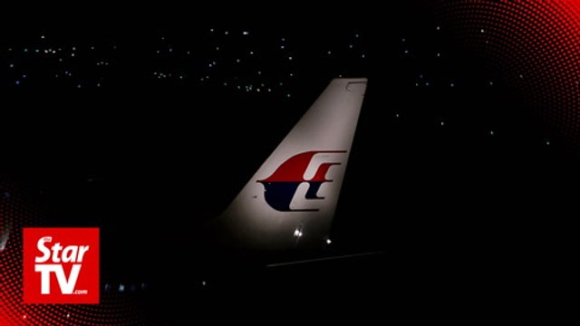 Loke, Azmin: Dr M will decide fate of Malaysia Airlines