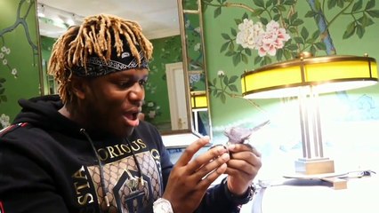 KSI shows his $500,000+ Beerus Diamond Chain