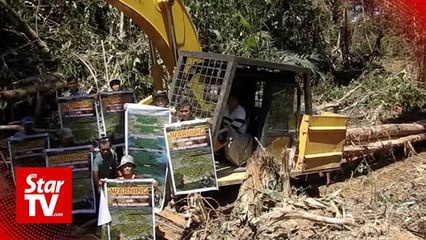 Sarawak Forestry Dept told to suspend permit of oil palm giant clearing land near Mulu National Park