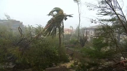 Mais de 350 mortos confirmados em Moçambique