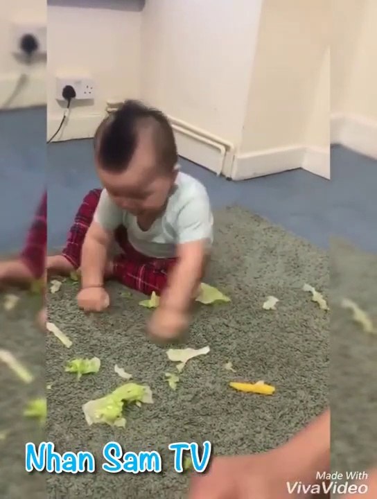 Baby Makes Cute Everything - Funny Cute Baby Videos 2019