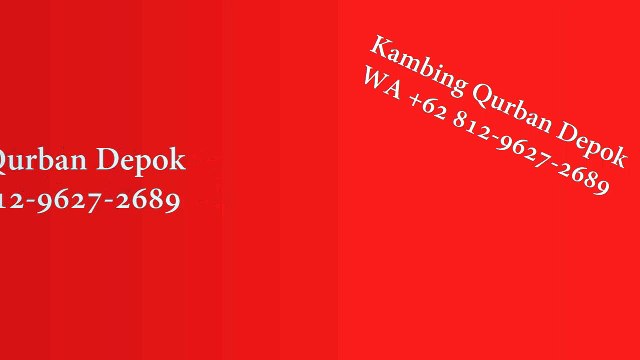 HALAL, WA +62 812-9627-2689, Jual Kambing Qurban Cimanggis, Depok