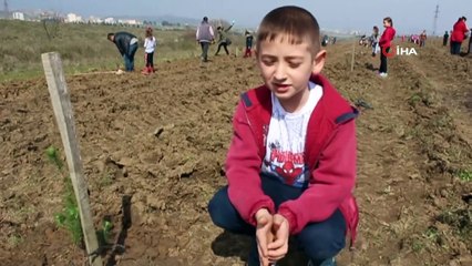 Minik fidanlar toprakla buluştu
