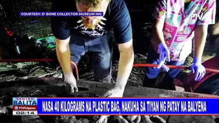 Nasa 40 kilograms na plastic bar, nakuha sa tiyan ng patay na balyena
