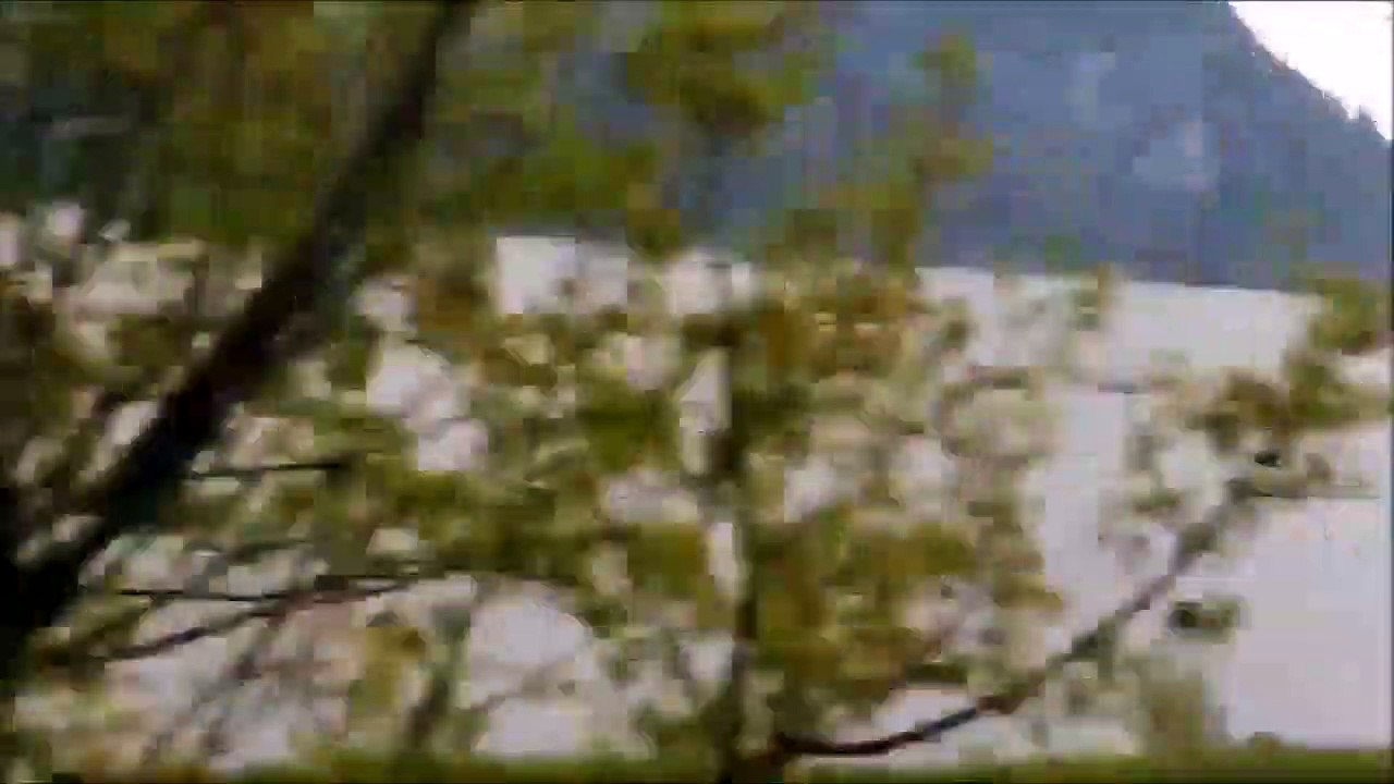 STUNNING - Thunersee lake in Interlaken Switzerland