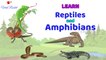 Learn Reptiles and Amphibians for Kids || Reptiles For Children in English | Amphibians names For Kids In English ||  Viral Rocket