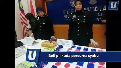 Beli pil kuda percuma syabu