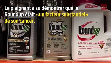 Monsanto : selon un jury, le Roundup a bien contribué au cancer du plaignant