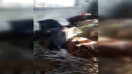 Ahırda şarap üretimi...Kaçak içki üretimine 3 gözaltı