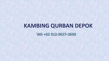 TERMURAH, WA +62 812-9627-2689, Jual Kambing Qurban Cipayung, Kota Depok, Jawa Barat