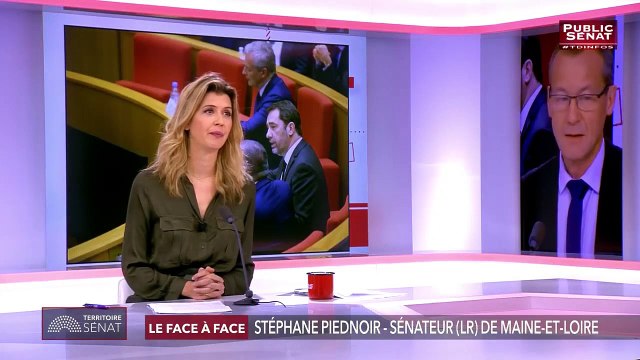 Stéphane Piednoir est l'invité de Territoires d'Infos sur Public Sénat (20.03.2019)