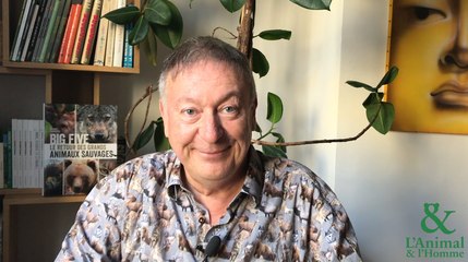 Interview 2 de Marc Giraud : Les prédateurs sont des médecins
