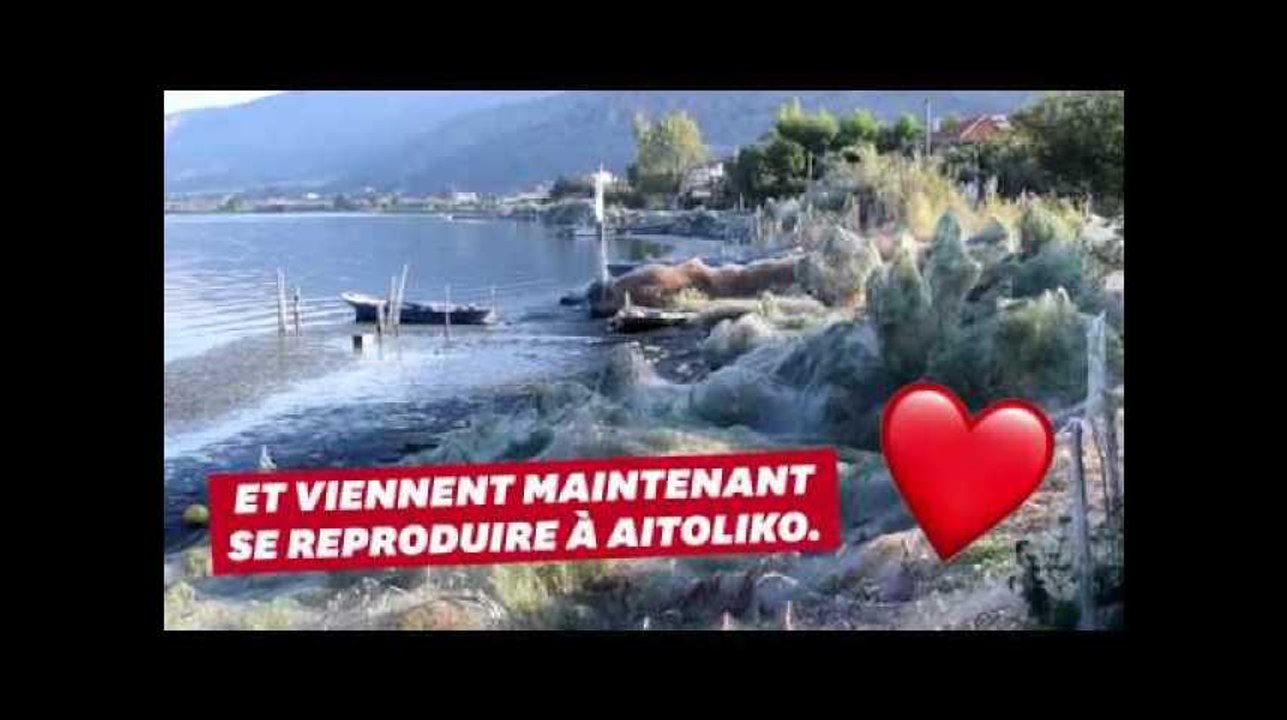 On a trouvé la ville grecque à éviter pour vos vacances